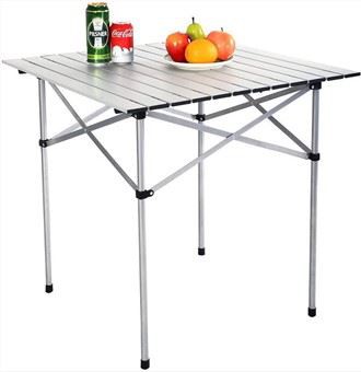 Portable Folding Picnic Table